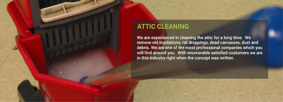 attic cleaning services San Rafael, Hayward